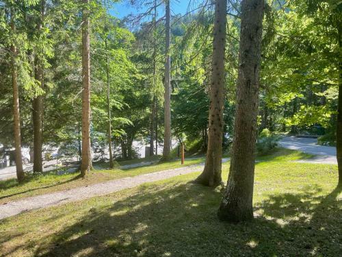 Apartamento Martinov Dom