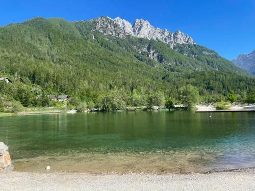 Apartamento Martinov Dom