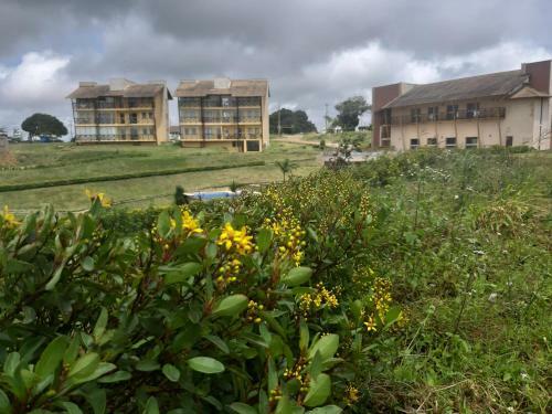Apartamento Em Bananeiras