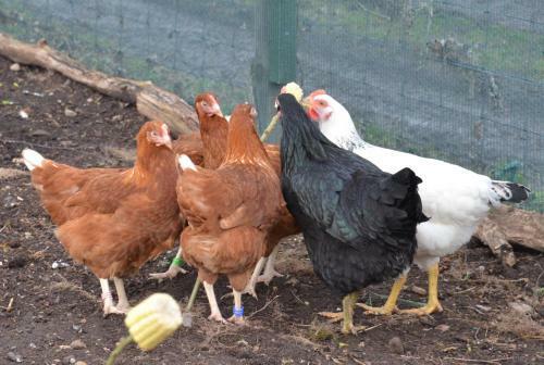 Home Farm Bed And Breakfast