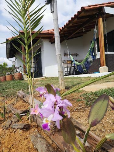 Villa Namaste, Caba�a Namaste 1
