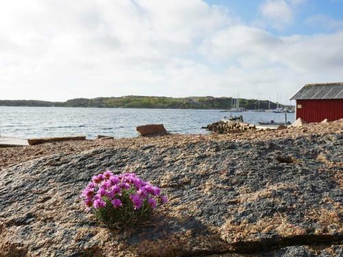 Holiday Home Bovallstrand V