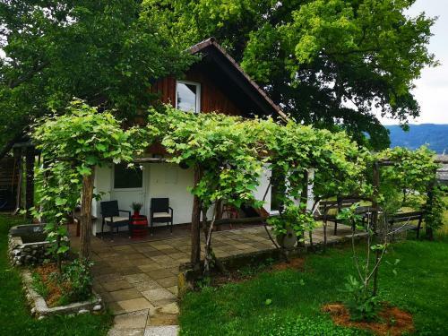 Apartamento Guesthouse Ankl