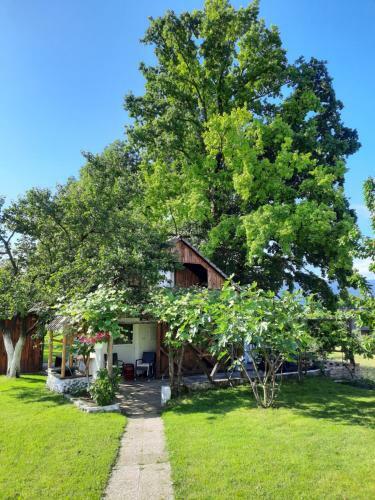 Apartamento Guesthouse Ankl