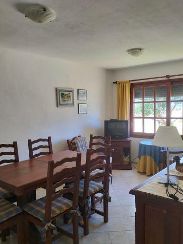 Apartamento Terra 3