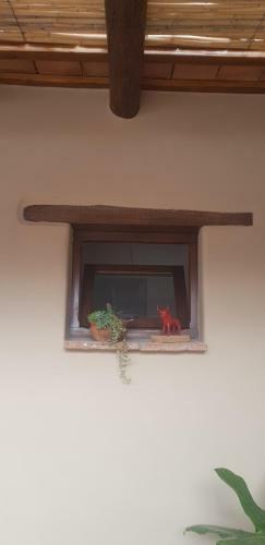 Bed & Breakfast Terraza Del Molle