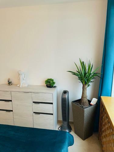 Luxusn� Zmodernizovan� Apartm�n V Centre Ko?�c