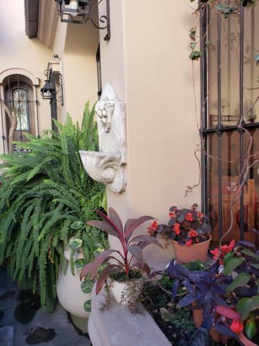 Bed & Breakfast Posta Del �ngel - Salta