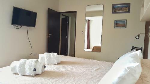 Apartamento Carnaval P/6 - 2 Dorm - Amplio Y A 5' Del Centro