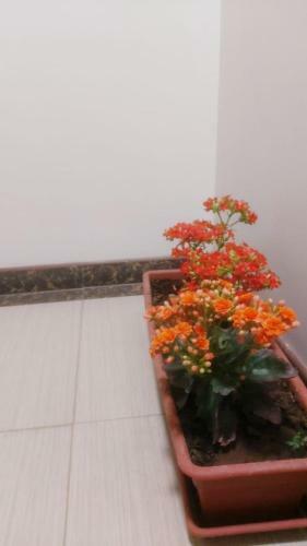 Apartamento Alojamientos Kiri