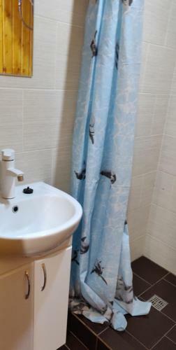 Hotel Black Lion
