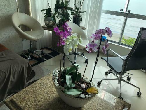 Apartamento Baln Camboriu - Beira Mar