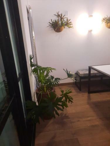 Apartamento Balneario Camboriu