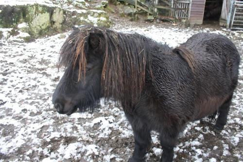 Agroturismo Highgarry Cottage