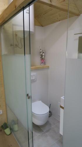 Apartma, Glamping Na Koncu Vasi
