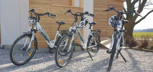 Apartma, Glamping Na Koncu Vasi