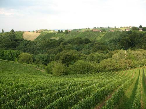 Agroturismo Turisti?na Kmetija Dervari?