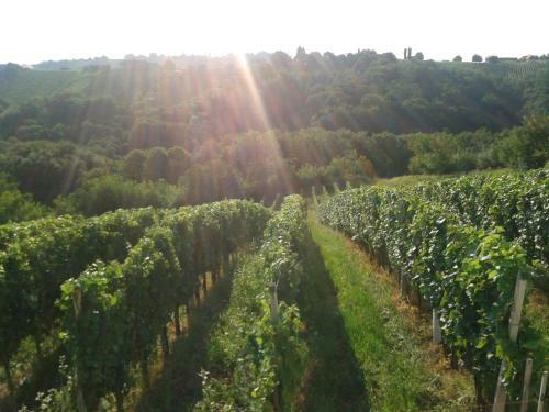 Agroturismo Turisti?na Kmetija Dervari?