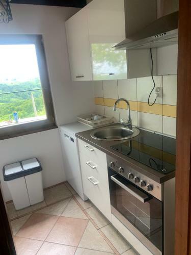 Apartma Med Vinogradi