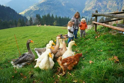 Agroturismo Tourist Farm Kladje