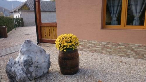 Hostal Penzi�n Vian
