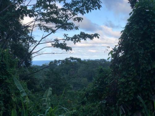 Papaya Wildlife Lodge