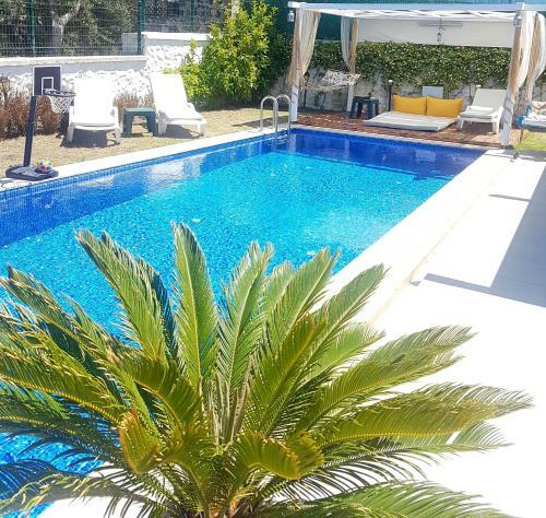 Villa Havuz