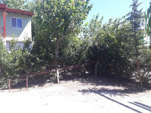 Apartamento Departamento Tala Sur