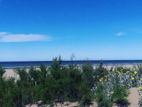 Apartamento Las Olas