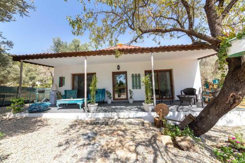 Villa Enchanting House With Impressive Interior Design Surrounded By Nature In Bodrum