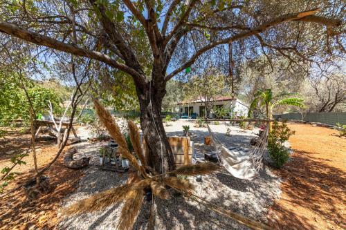 Villa Enchanting House With Impressive Interior Design Surrounded By Nature In Bodrum