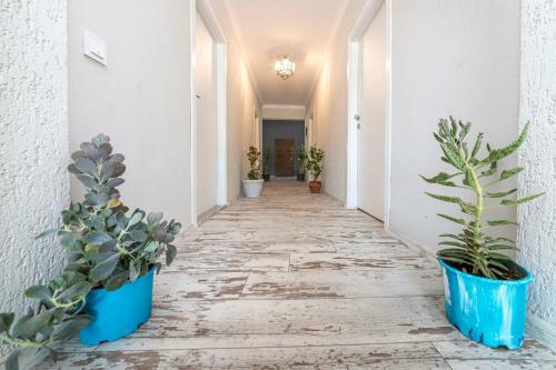 Villa Enchanting House With Impressive Interior Design Surrounded By Nature In Bodrum