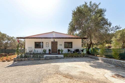 Villa Enchanting House With Impressive Interior Design Surrounded By Nature In Bodrum