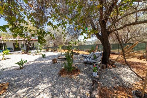 Villa Enchanting House With Impressive Interior Design Surrounded By Nature In Bodrum