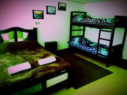 Hostal Hostel Tierra De Fuego