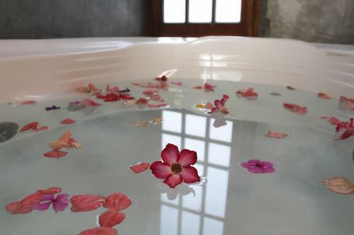 Hotel Breathe Healing & Wellness