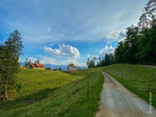 Apartamento Doma?ija Kohovo