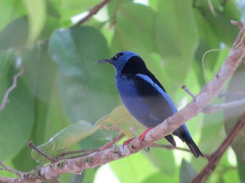 Poponjoche Lodge Ca�o Negro