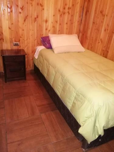 Caba�a 4 Personas Lanco Centro