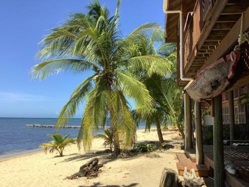 Reef Beach House - For 6