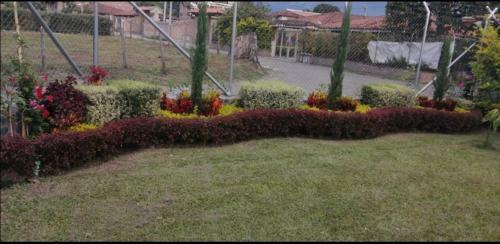 Acuarela Campestre