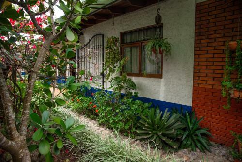 Hotel La Casa De Mam� Coyita