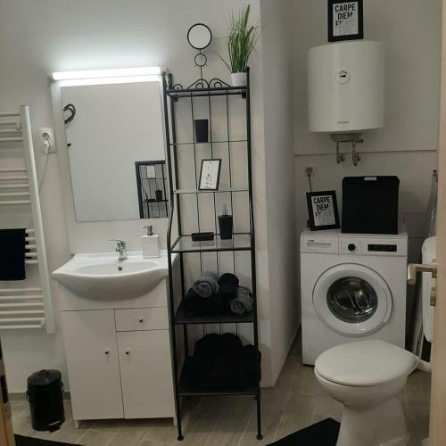 Apartment Luna