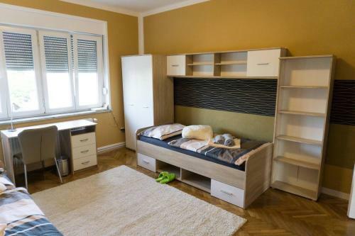 Trendy Apartmant In City