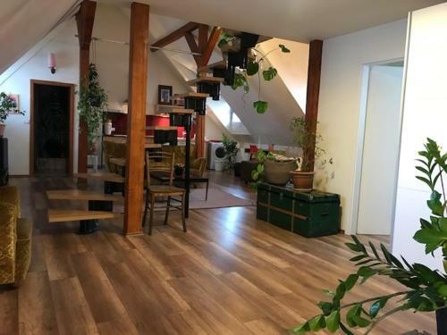 City Center Apartment
