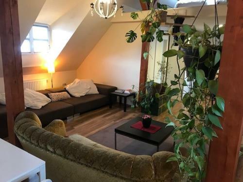City Center Apartment