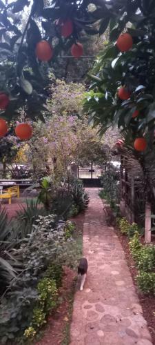 Bed & Breakfast Relax Point Pansiyon