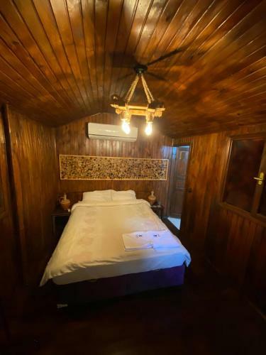 Hostal The Dacha Chiraly