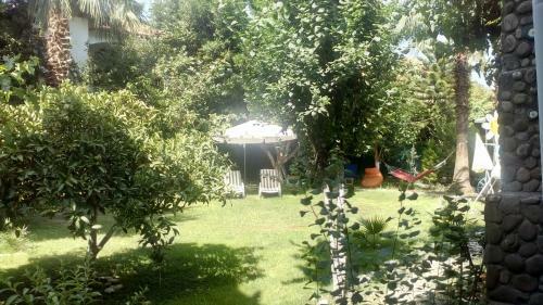 Hostal Mila Pansiyon