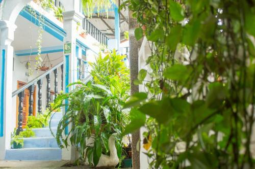Hostal Hotel Rabin Itzam